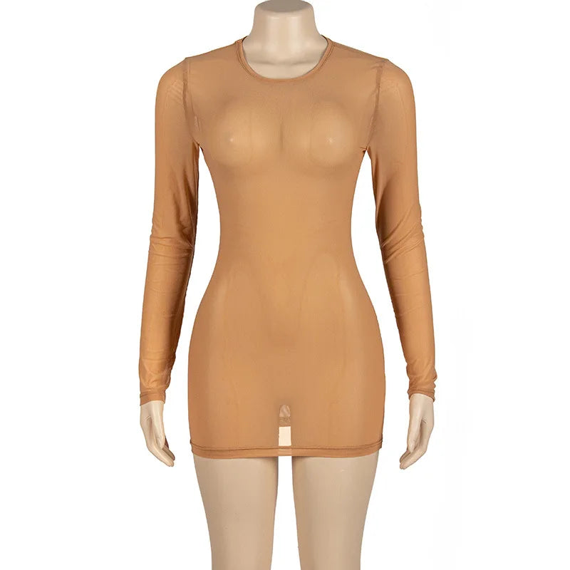 2026 New Arrivals Long Sleeve Mesh See Through Bodycon Dress Fashion Stretchy Sexy Sheer Mini Dress Nightclub Wear