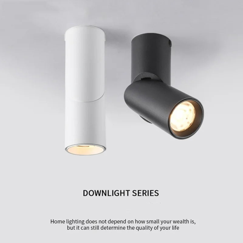 LED Downlights Dimmable 10W 12W 15W 18W Surface Mounted Ceiling Lamps Spot Light Warm /Natural /Cold White AC 85-265V + Driver