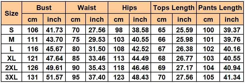 2 Pieces Women's Sets 2026 Spring Autumn Pullover Suit Long Sleeve Tops And Pants Suits Two Piece Set Tracksuit Outfit