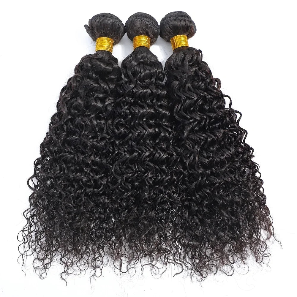 12A Kinky Curly human Hair Bundles 100% Human Hair Extensions Burmese Curly Hair 1/3/4 Bundles Brazilian Virgin Remy Hair