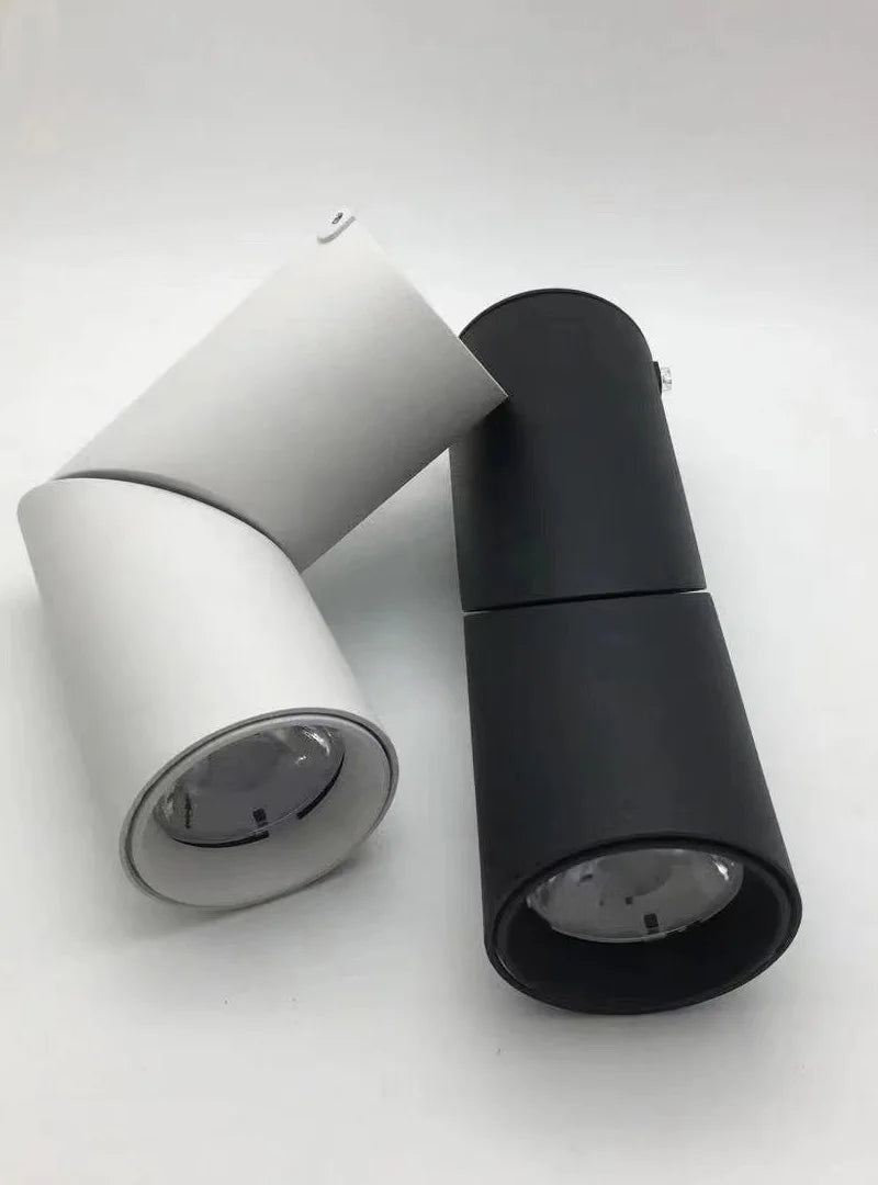 LED Downlights Dimmable 10W 12W 15W 18W Surface Mounted Ceiling Lamps Spot Light Warm /Natural /Cold White AC 85-265V + Driver