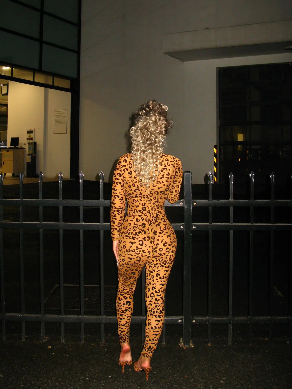 2026 Animal Instinct Mesh Bodystocking Leopard See Through Velour Long Sleeve Rompers Womens Jumpsuit Sexy Midnight Clubwear
