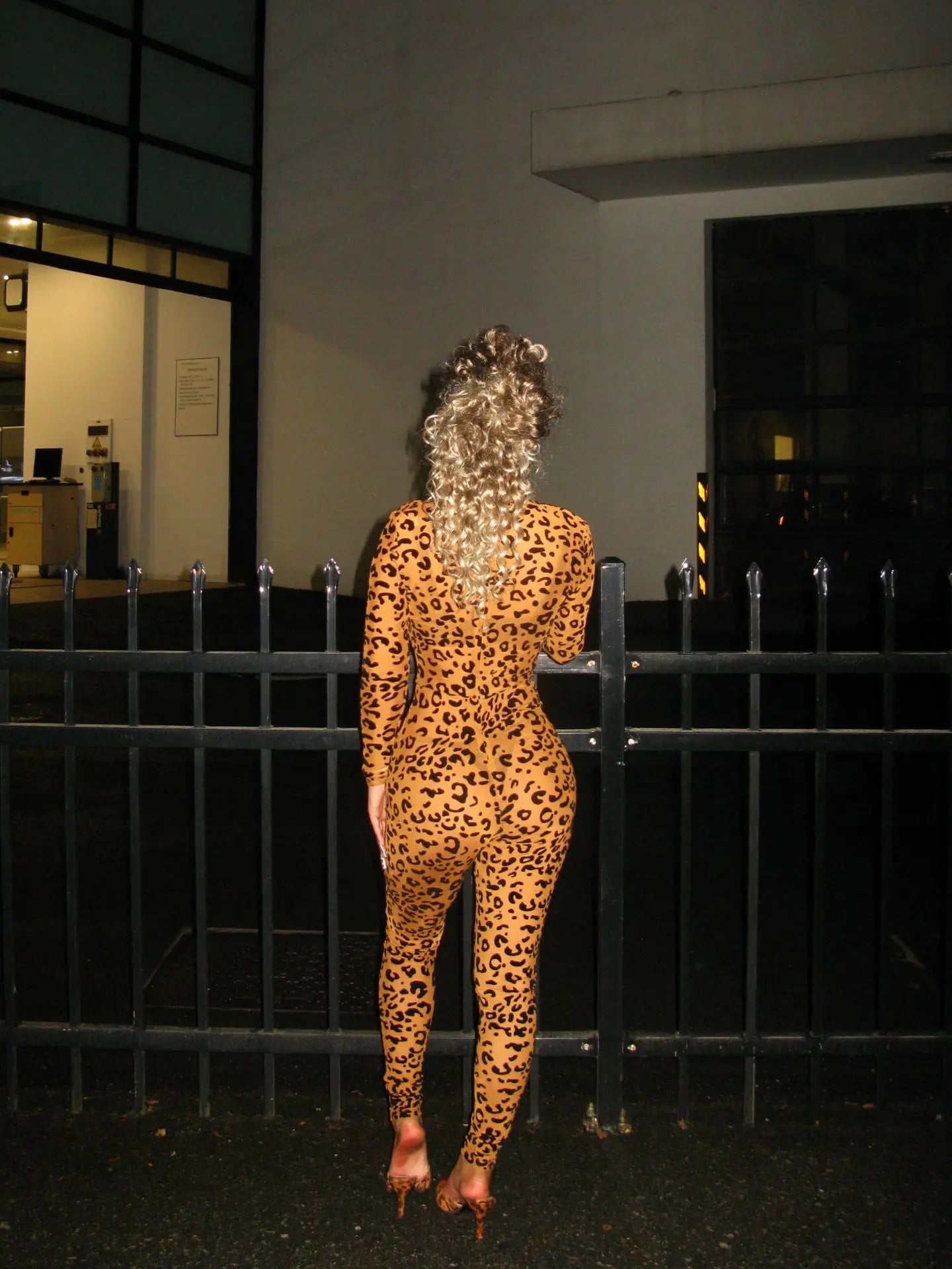 2026 Animal Instinct Mesh Bodystocking Leopard See Through Velour Long Sleeve Rompers Womens Jumpsuit Sexy Midnight Clubwear