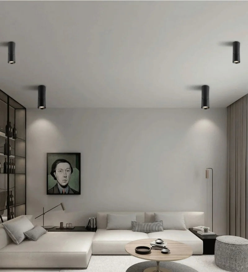 LED Downlights Dimmable 10W 12W 15W 18W Surface Mounted Ceiling Lamps Spot Light Warm /Natural /Cold White AC 85-265V + Driver