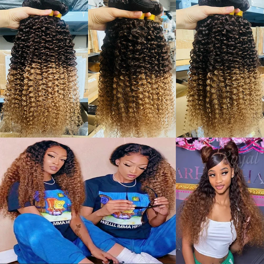12A Kinky Curly human Hair Bundles 100% Human Hair Extensions Burmese Curly Hair 1/3/4 Bundles Brazilian Virgin Remy Hair