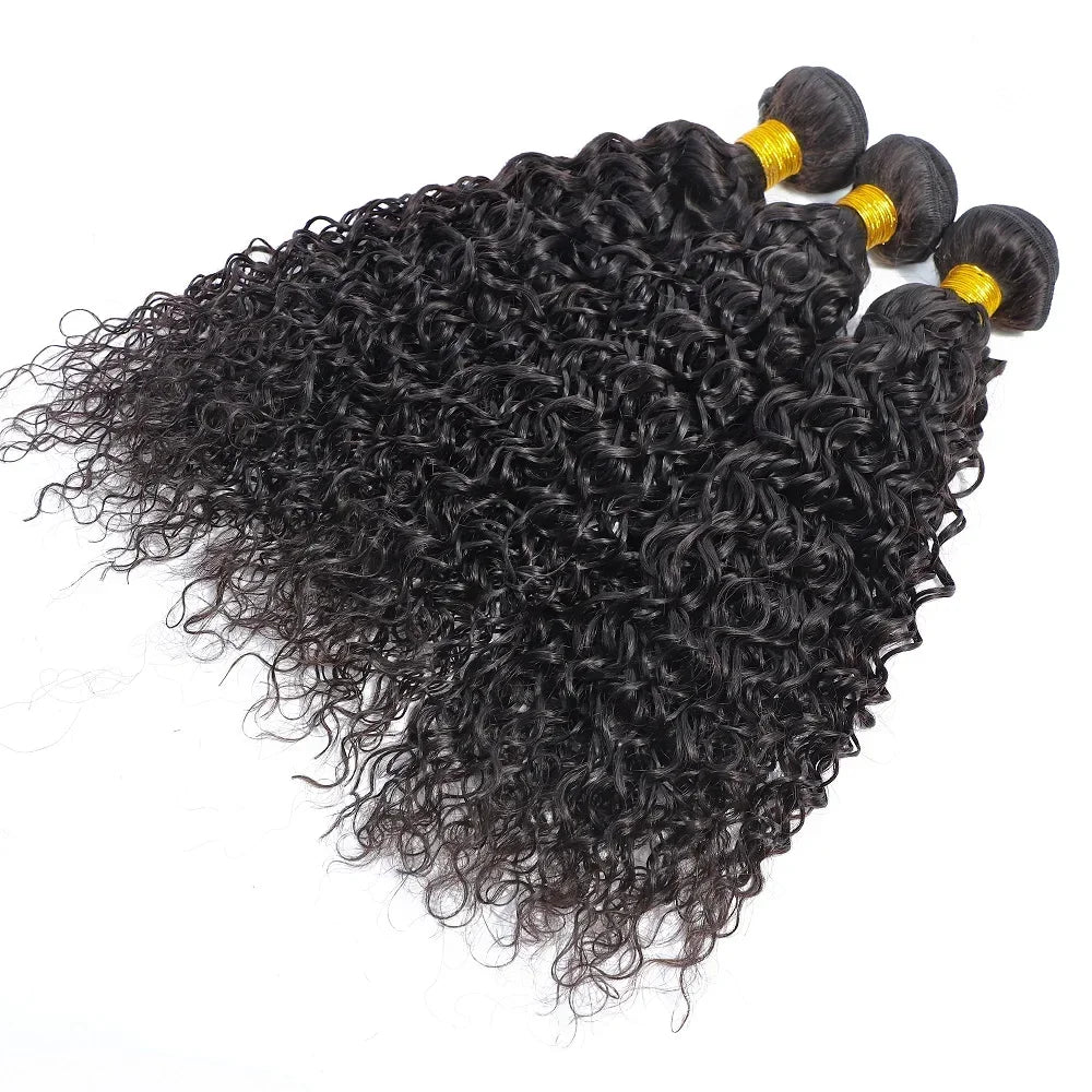 12A Kinky Curly human Hair Bundles 100% Human Hair Extensions Burmese Curly Hair 1/3/4 Bundles Brazilian Virgin Remy Hair