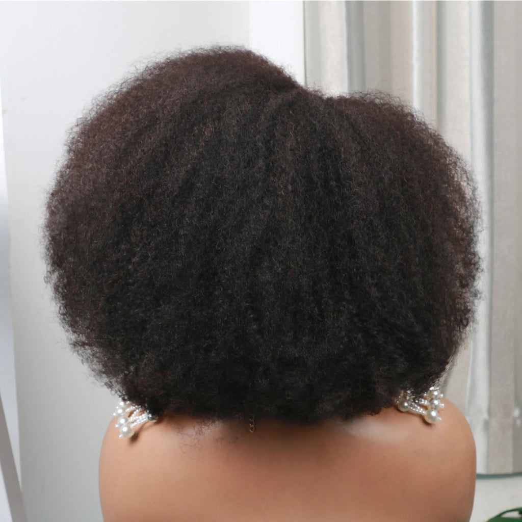 Afro Kinky Curly 13x4x2 T Part Lace Wigs Short Bob Wig 250 Density Human Hair Wigs Short Curly Afro Wigs for Woman