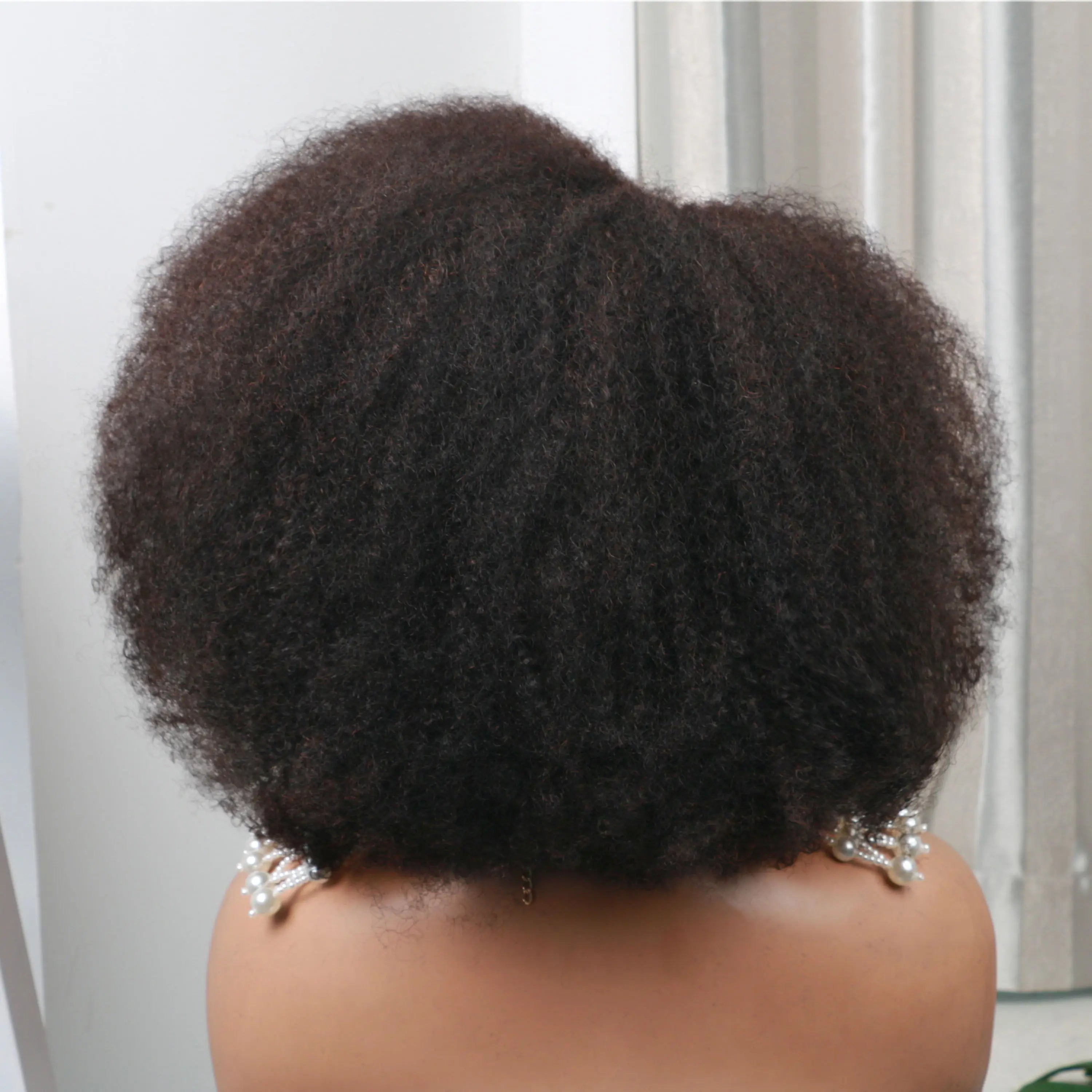 Afro Kinky Curly 13x4x2 T Part Lace Wigs Short Bob Wig 250 Density Human Hair Wigs Short Curly Afro Wigs for Woman