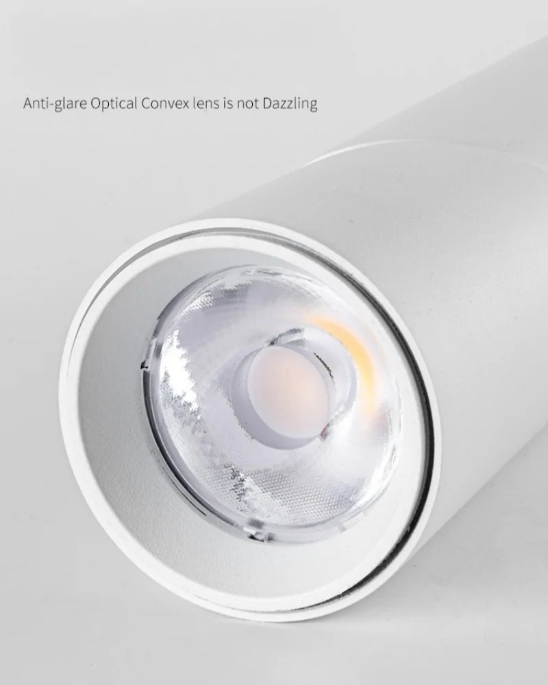 LED Downlights Dimmable 10W 12W 15W 18W Surface Mounted Ceiling Lamps Spot Light Warm /Natural /Cold White AC 85-265V + Driver