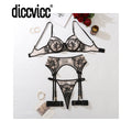 Diccvicc Floral Embroidery Lingerie See Through Lace Garter Underwear Woman Complete Set Extreme Sexy Intimate Kit Erotic Outfit