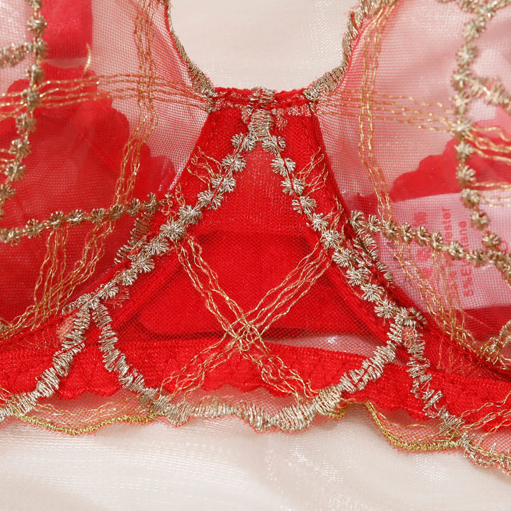 Diccvicc Elegant Lace Lingerie See Through Embroidery Floral Women Underwear 3 Pieces Bra Garter Set Sexy Outfit Intimate Kits