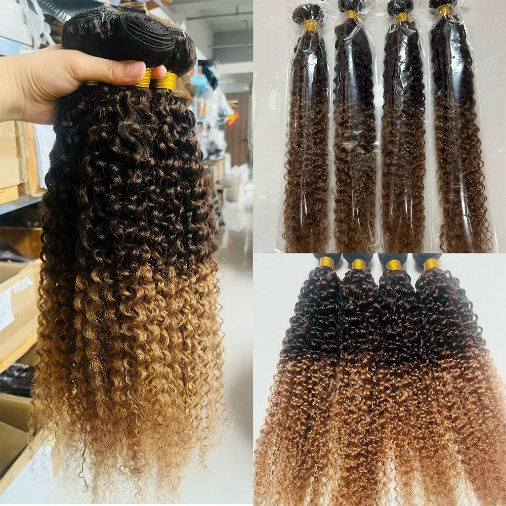 12A Kinky Curly human Hair Bundles 100% Human Hair Extensions Burmese Curly Hair 1/3/4 Bundles Brazilian Virgin Remy Hair