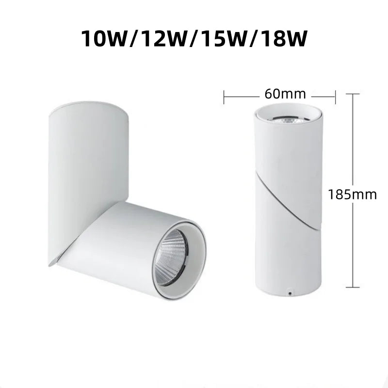 LED Downlights Dimmable 10W 12W 15W 18W Surface Mounted Ceiling Lamps Spot Light Warm /Natural /Cold White AC 85-265V + Driver