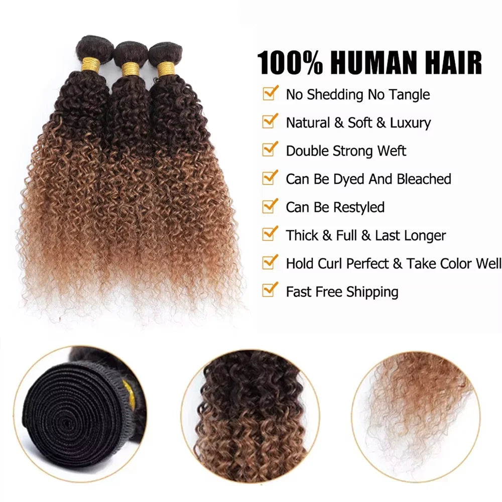 12A Kinky Curly human Hair Bundles 100% Human Hair Extensions Burmese Curly Hair 1/3/4 Bundles Brazilian Virgin Remy Hair
