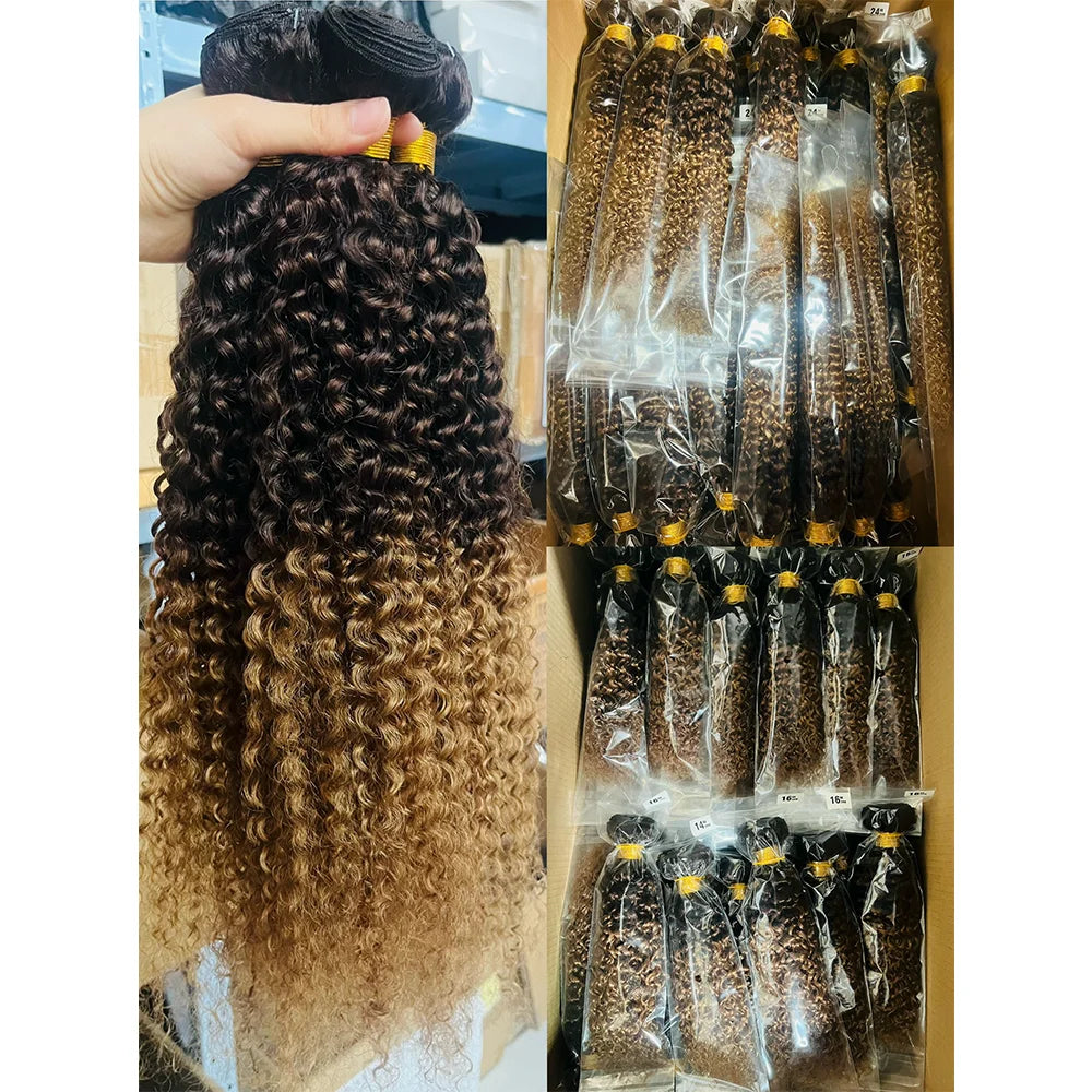 12A Kinky Curly human Hair Bundles 100% Human Hair Extensions Burmese Curly Hair 1/3/4 Bundles Brazilian Virgin Remy Hair