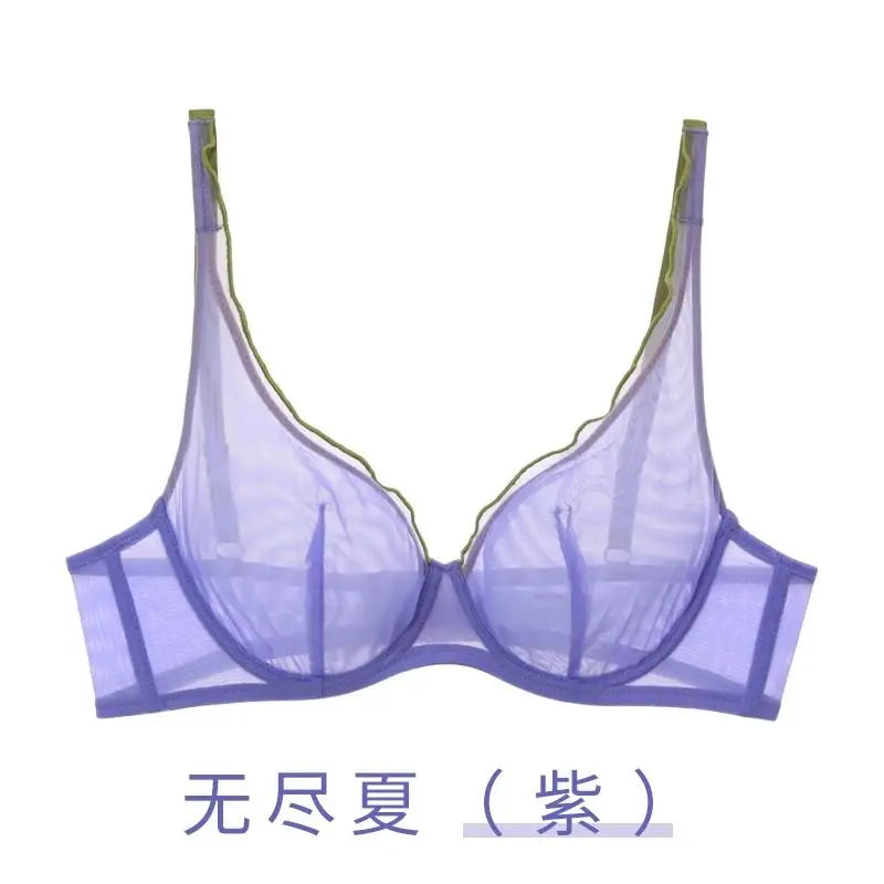 Minimizer Bra Plus Size Underwire French Style Triangle Cup Push Up Sexy Mesh Lingerie Set Support 32-40 MOYISU Sexy Bra Set BC