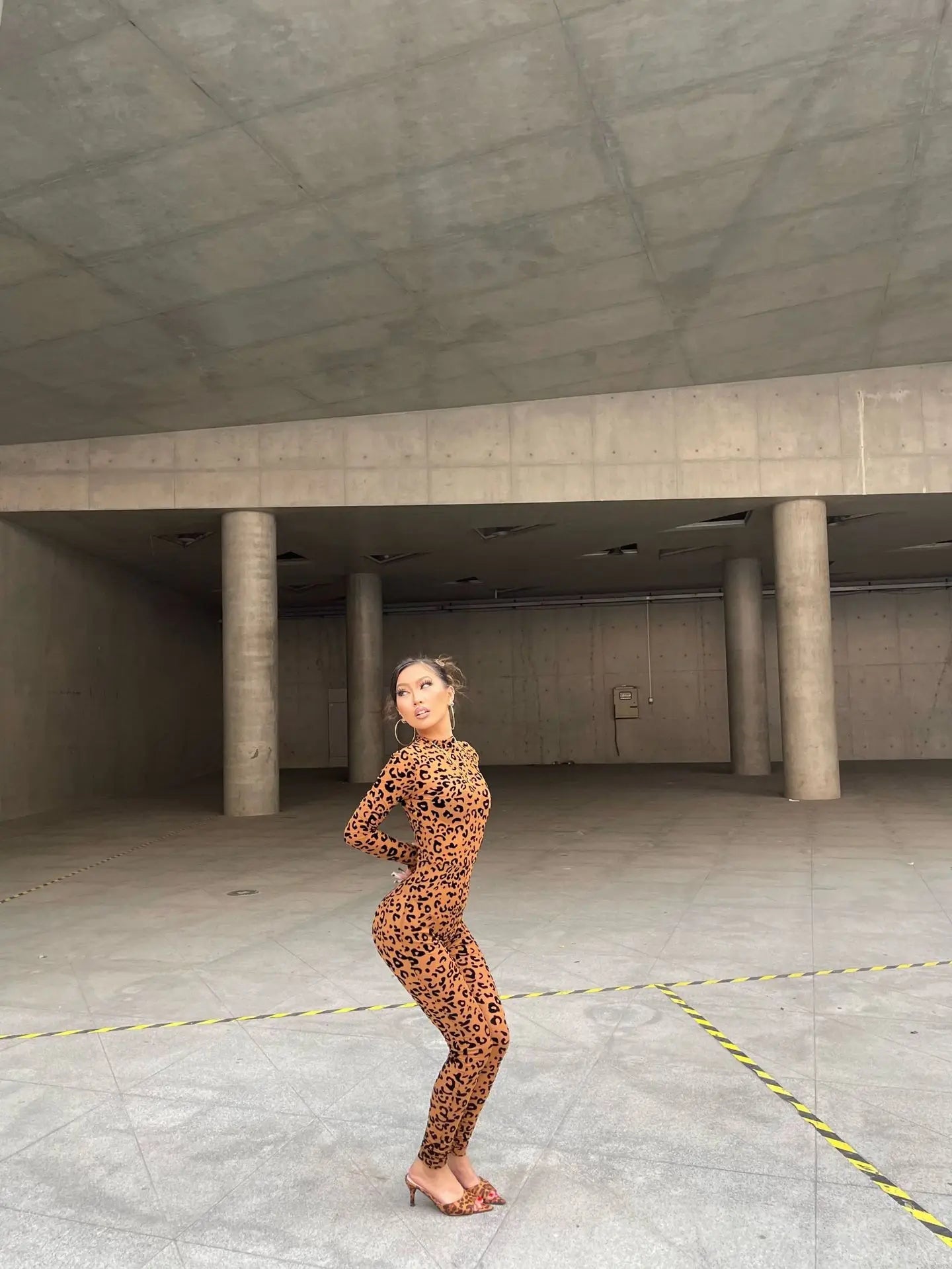2026 Animal Instinct Mesh Bodystocking Leopard See Through Velour Long Sleeve Rompers Womens Jumpsuit Sexy Midnight Clubwear - T&NLIFESTYLE 2026 Animal Instinct Mesh Bodystocking Leopard See Through Velour Long Sleeve Rompers Womens Jumpsuit Sexy Midnight Clubwear